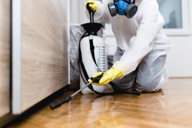 Best Wasp Removal Services  in Salem, UT