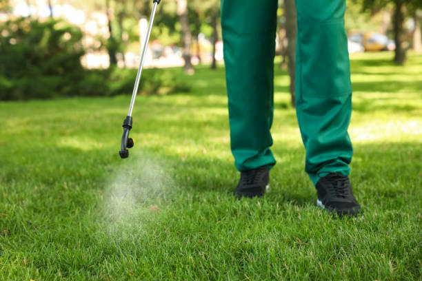 Best Wildlife Control Services  in Salem, UT