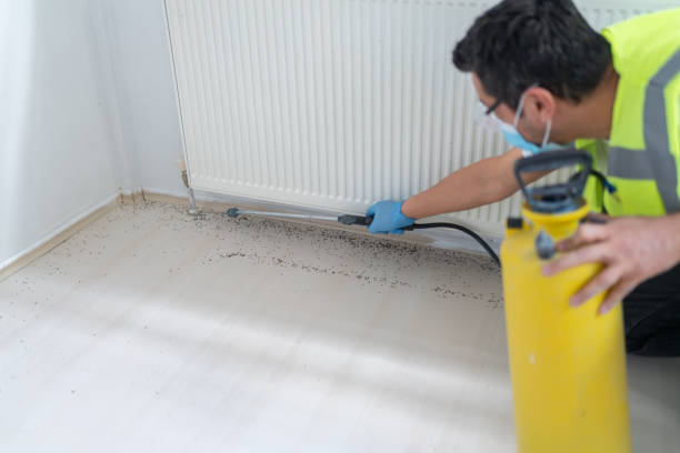 Best Best Pest Control Companies  in Salem, UT